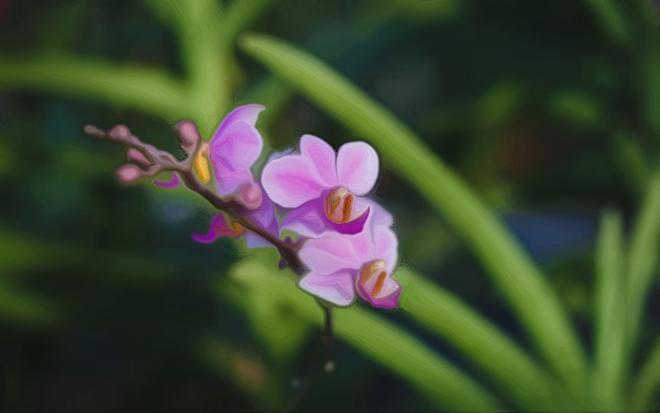 生肖鼠, 本命年4大禁忌